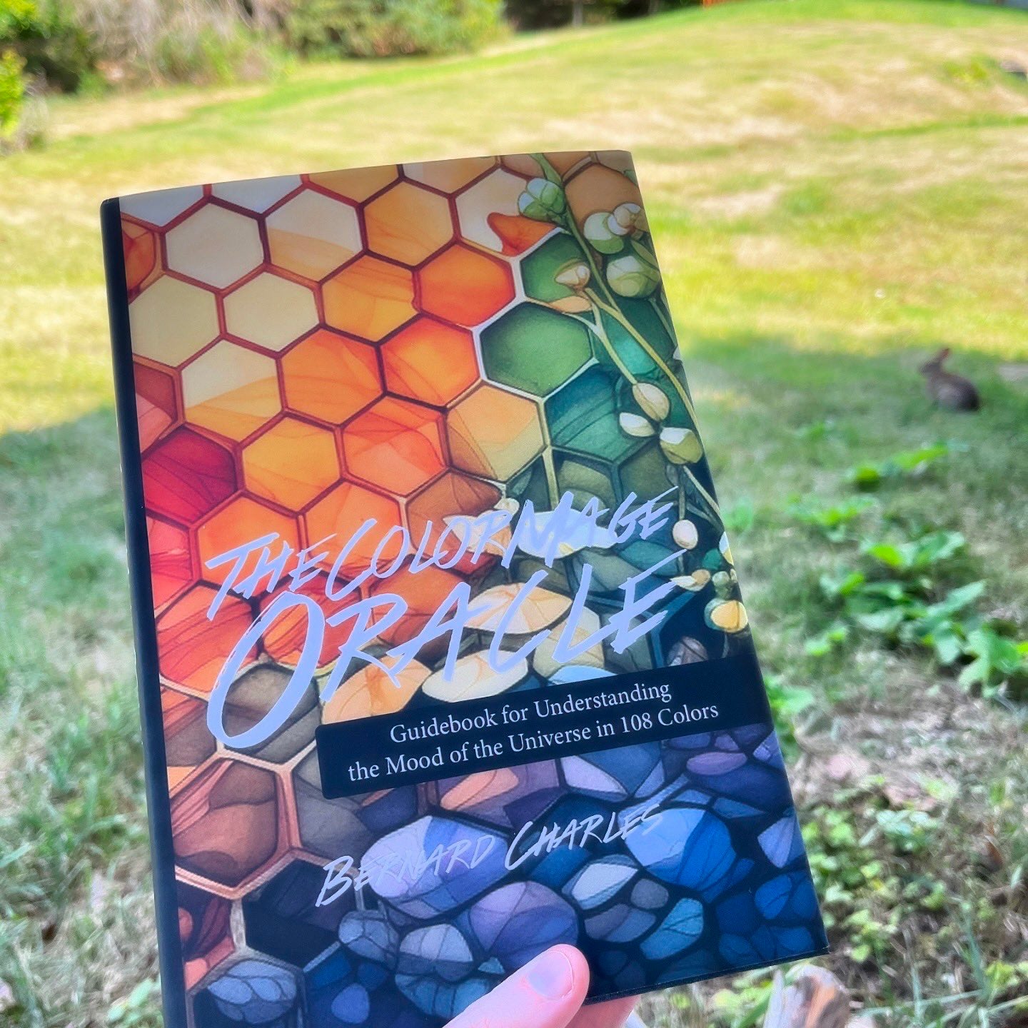 The Color Mage Oracle: Guidebook – Chroma Mystic